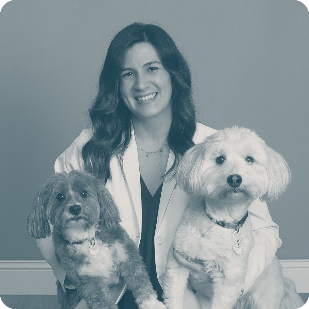 Location Doctor Image