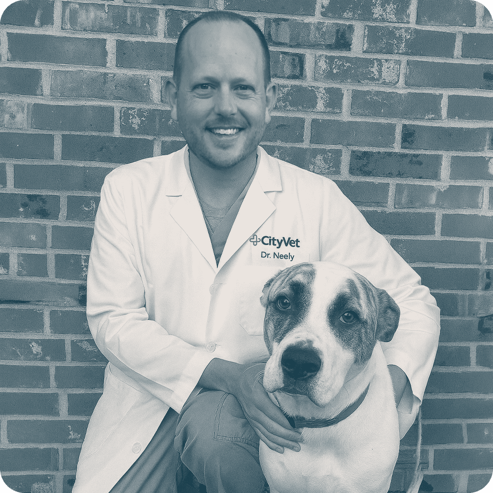 Location Doctor Image