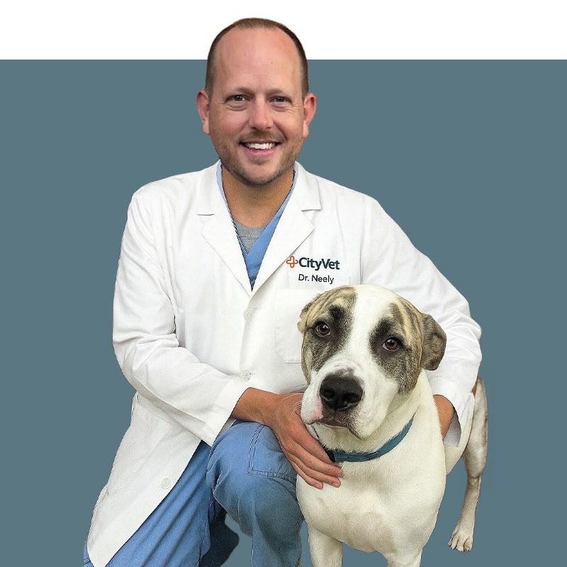 Location Doctor Image