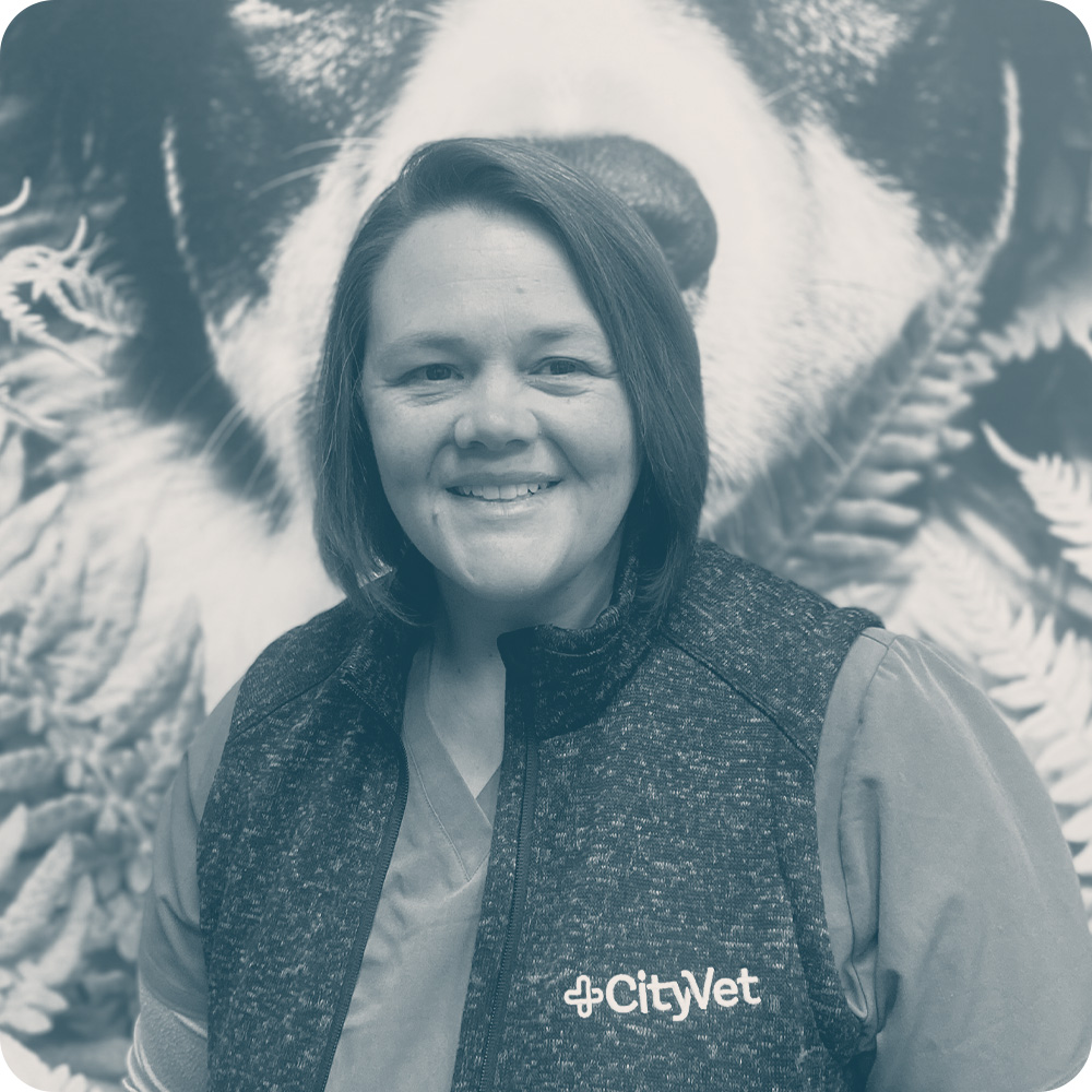 Location Doctor Image