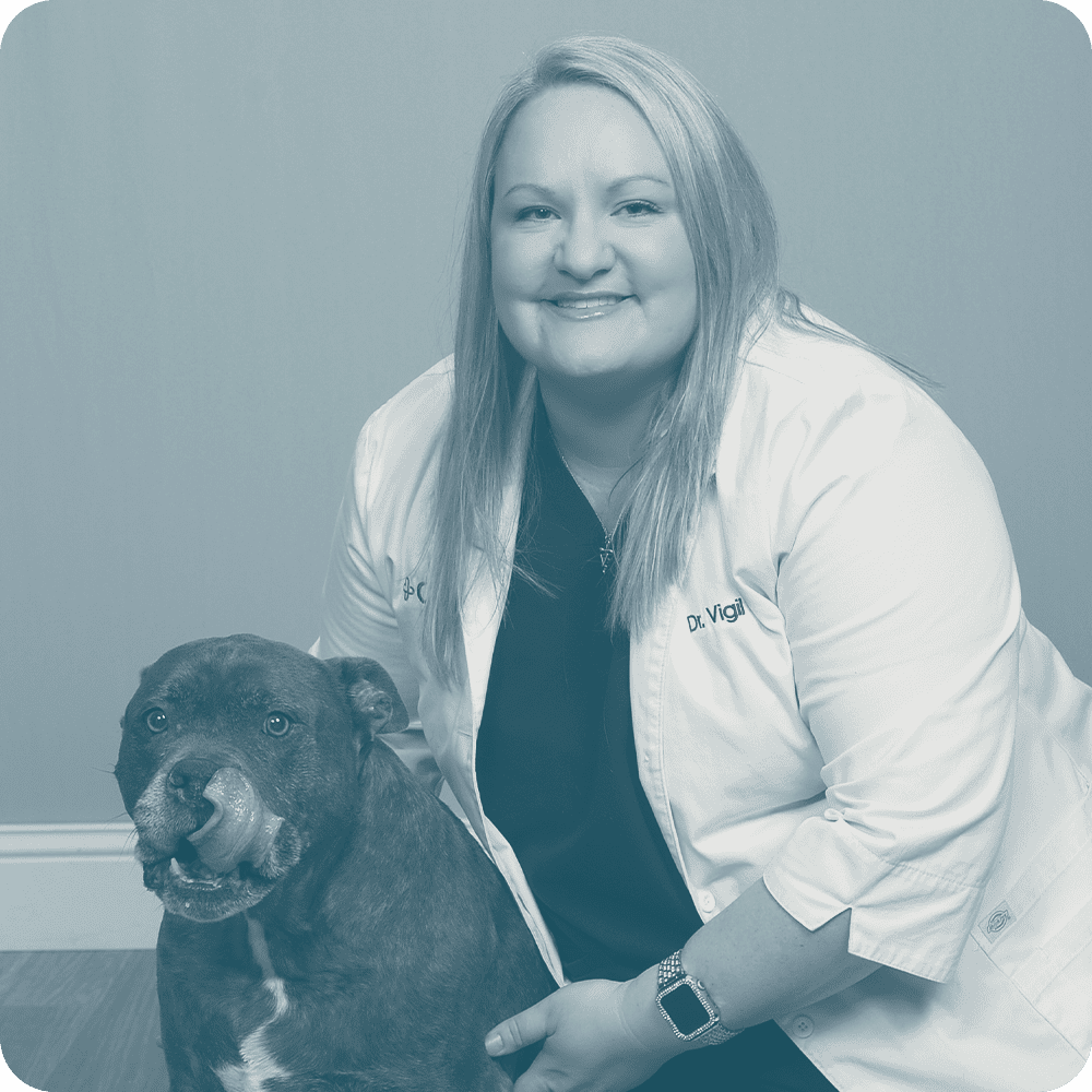 Location Doctor Image