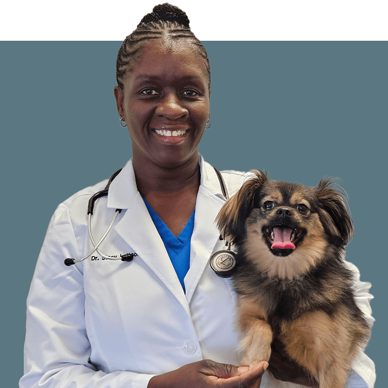 Location Doctor Image