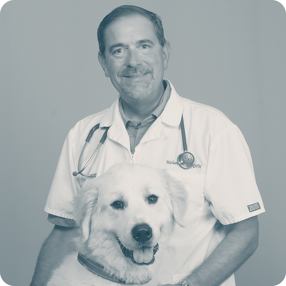Location Doctor Image
