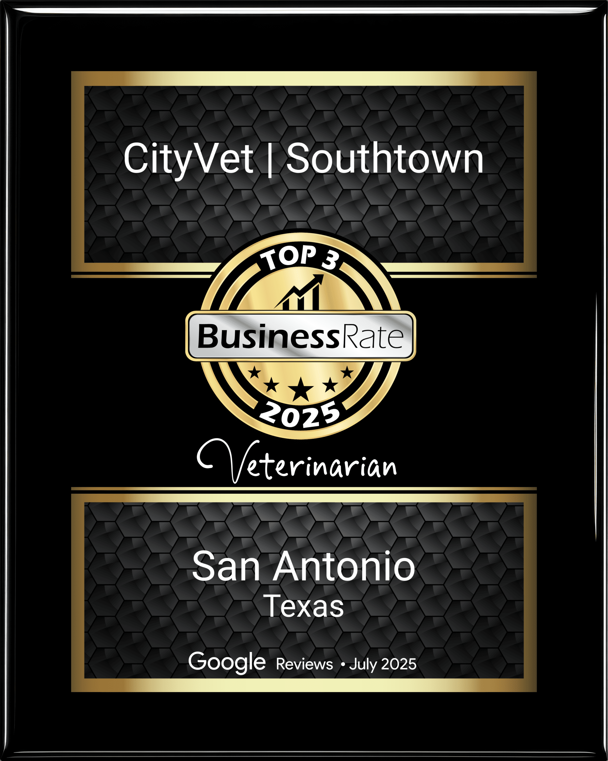 CityVet Southtown