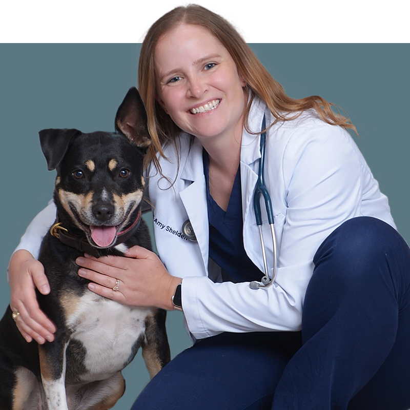 Location Doctor Image