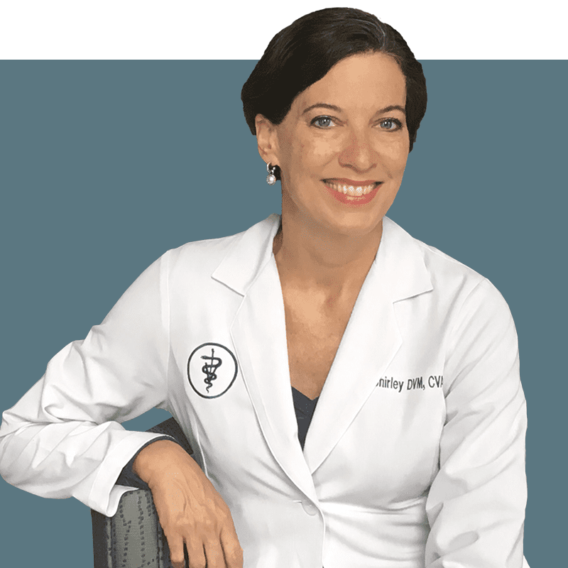 Location Doctor Image