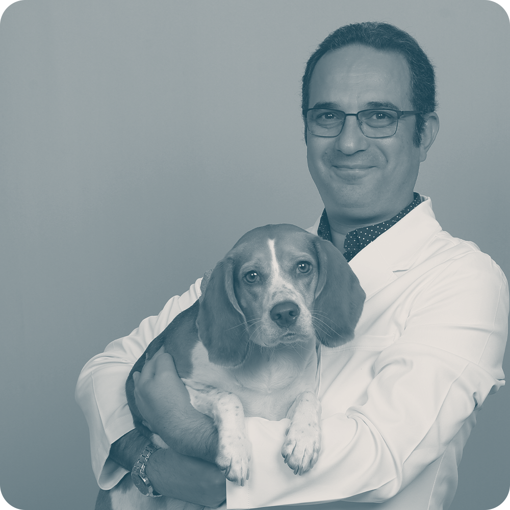 Location Doctor Image