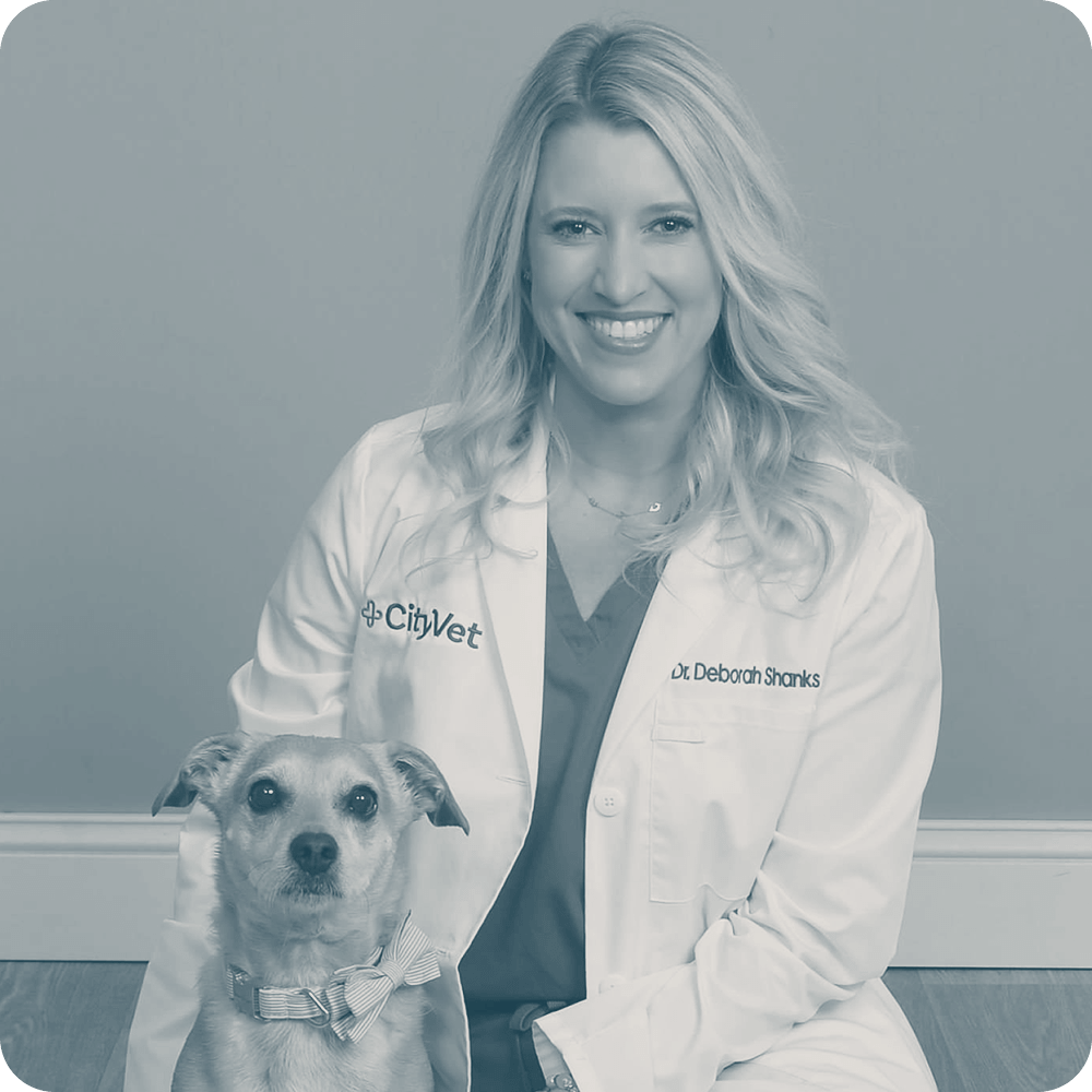 Location Doctor Image