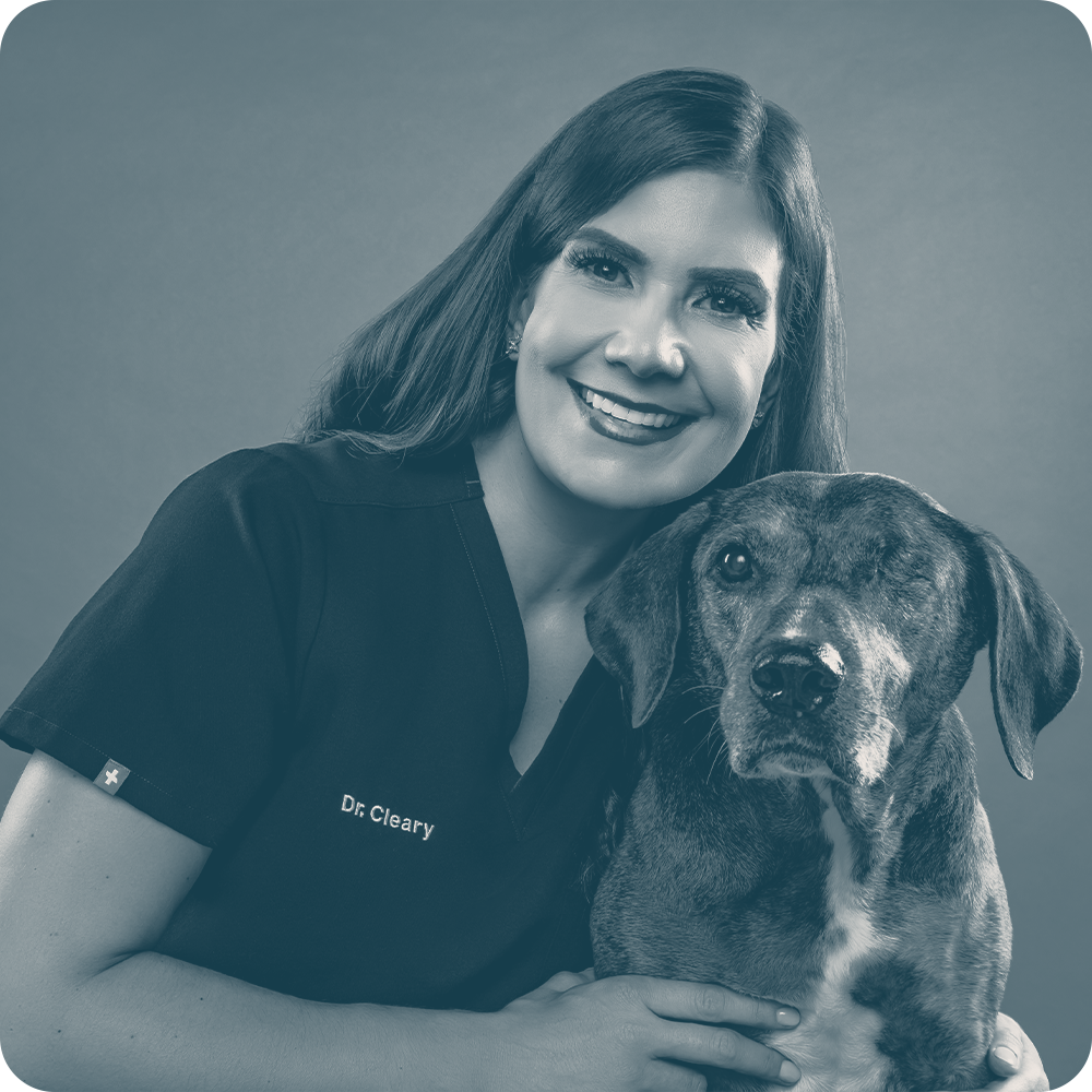 Location Doctor Image