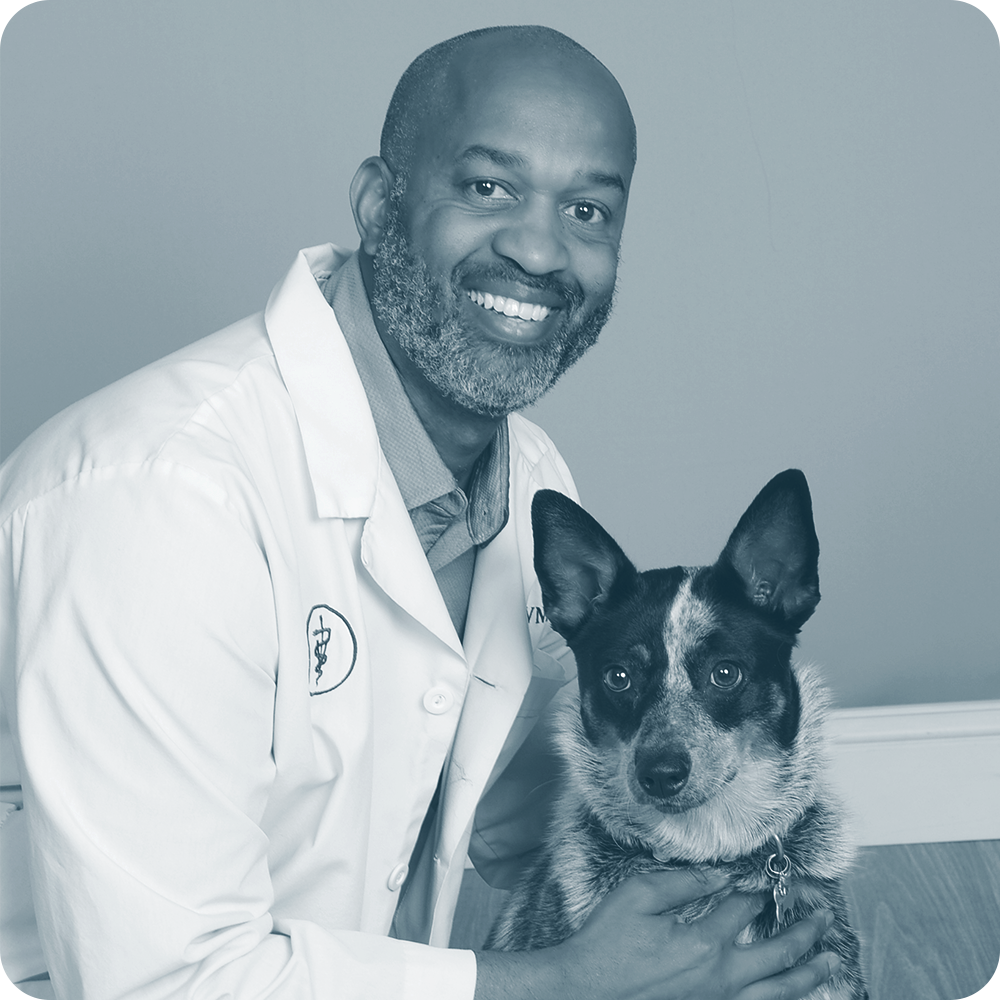 Location Doctor Image