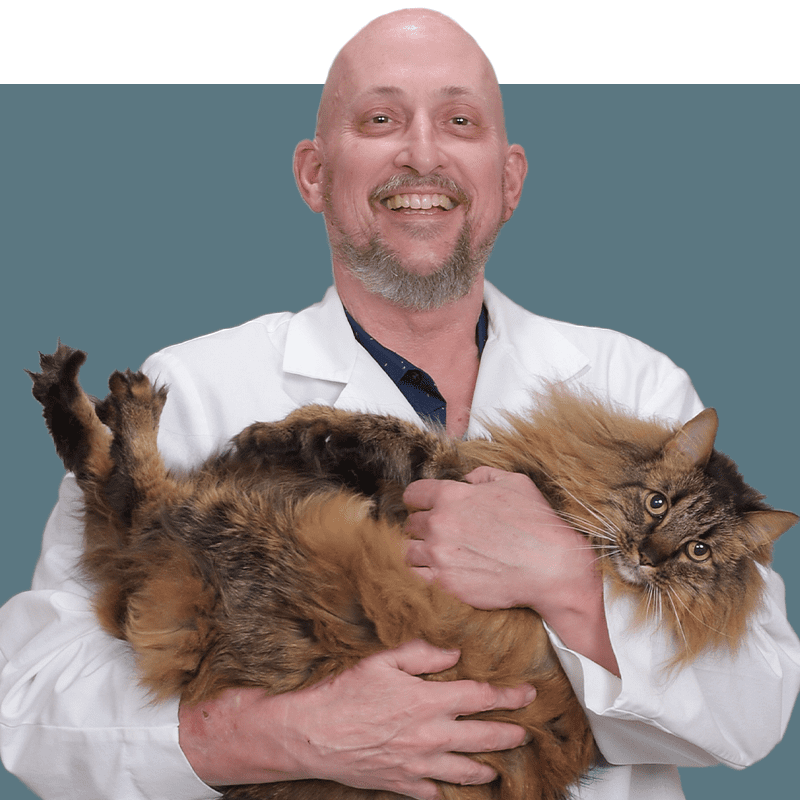 Location Doctor Image