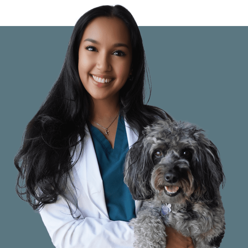Location Doctor Image
