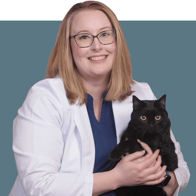Location Doctor Image