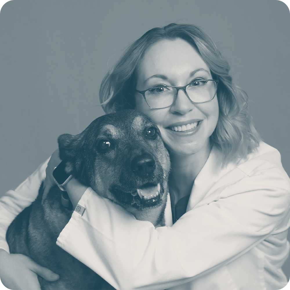 Location Doctor Image