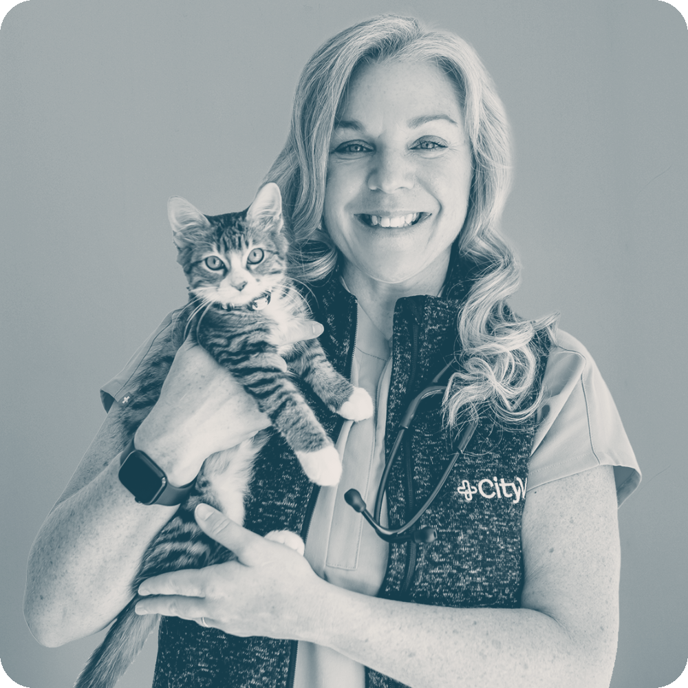 Location Doctor Image