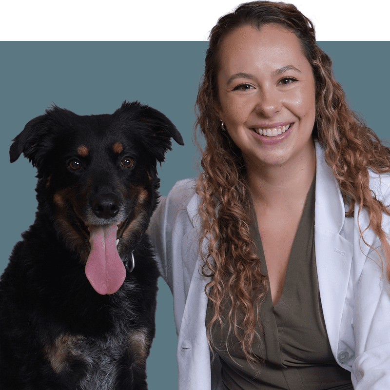 Location Doctor Image
