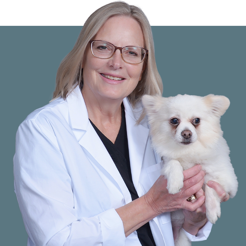 Location Doctor Image