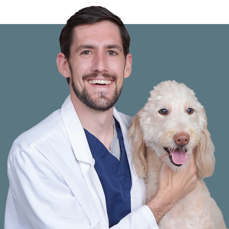Location Doctor Image