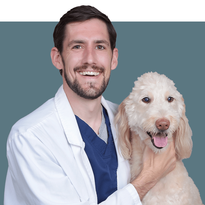 Location Doctor Image