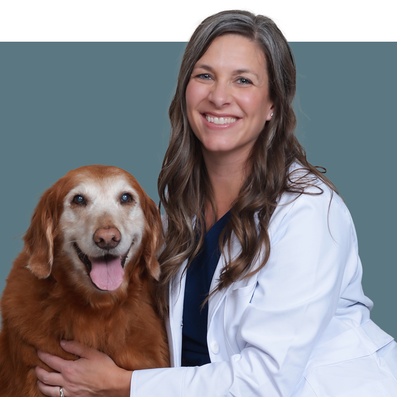 Location Doctor Image