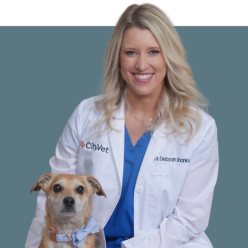 Location Doctor Image