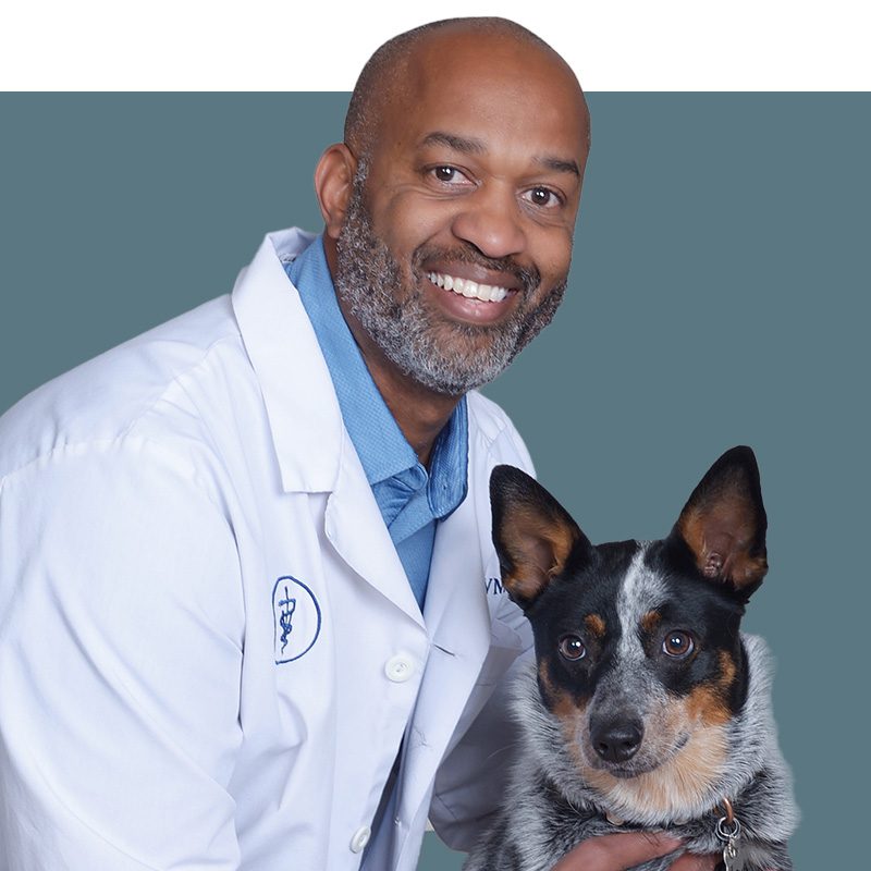 Location Doctor Image