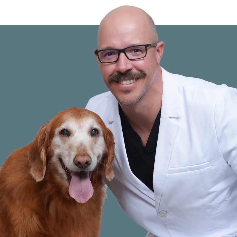 Location Doctor Image