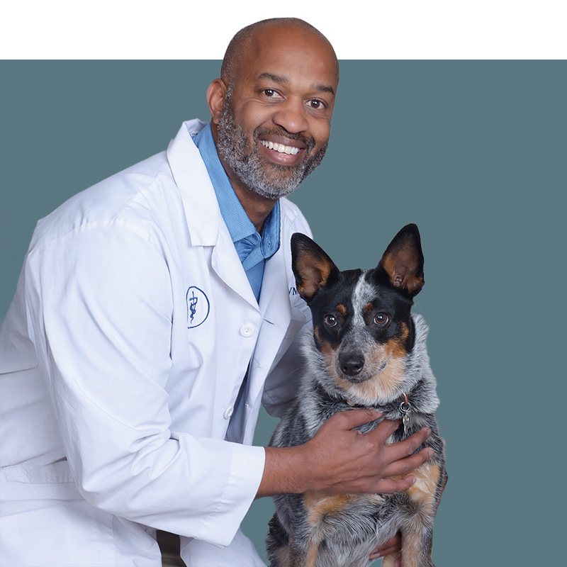Location Doctor Image