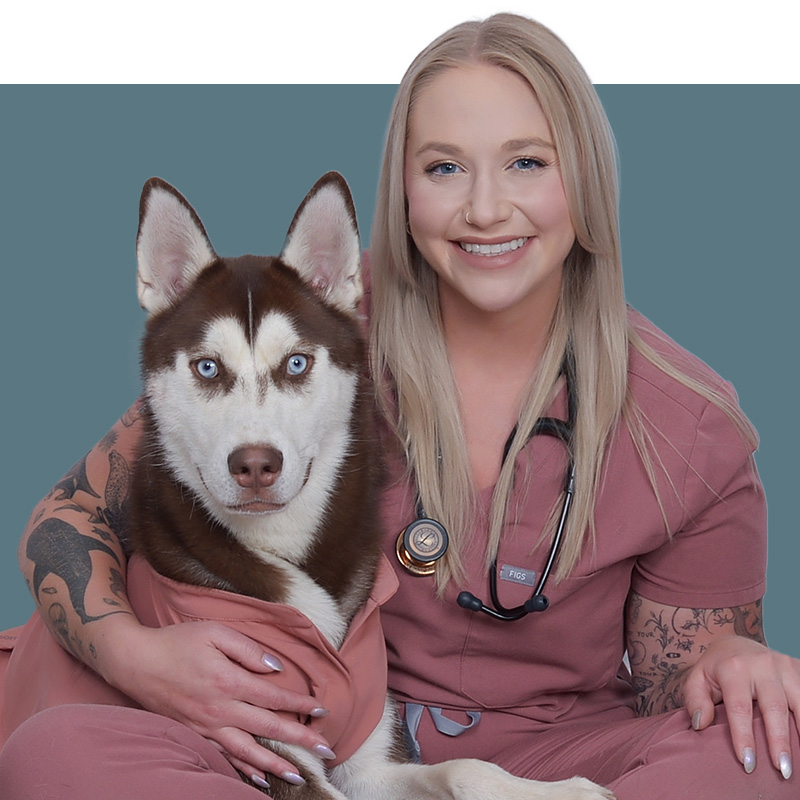 Location Doctor Image