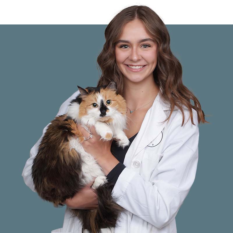 Location Doctor Image