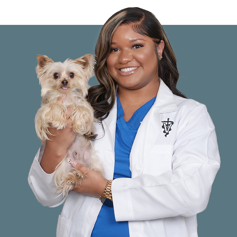 Location Doctor Image