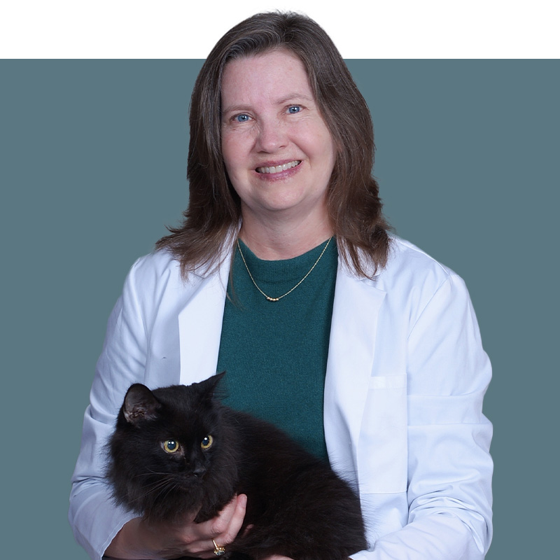 Location Doctor Image