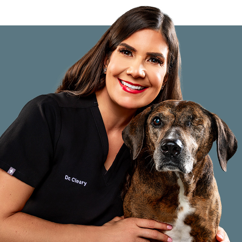 Location Doctor Image