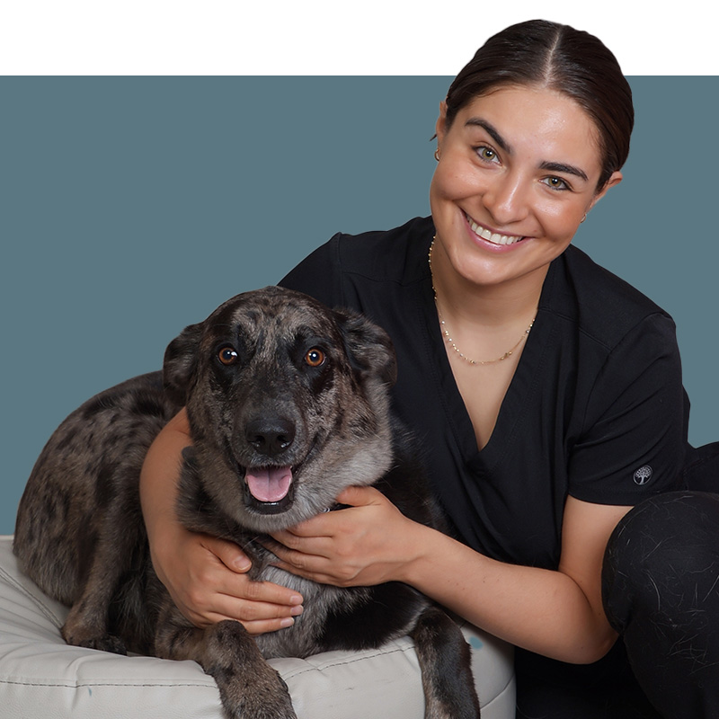 Location Doctor Image