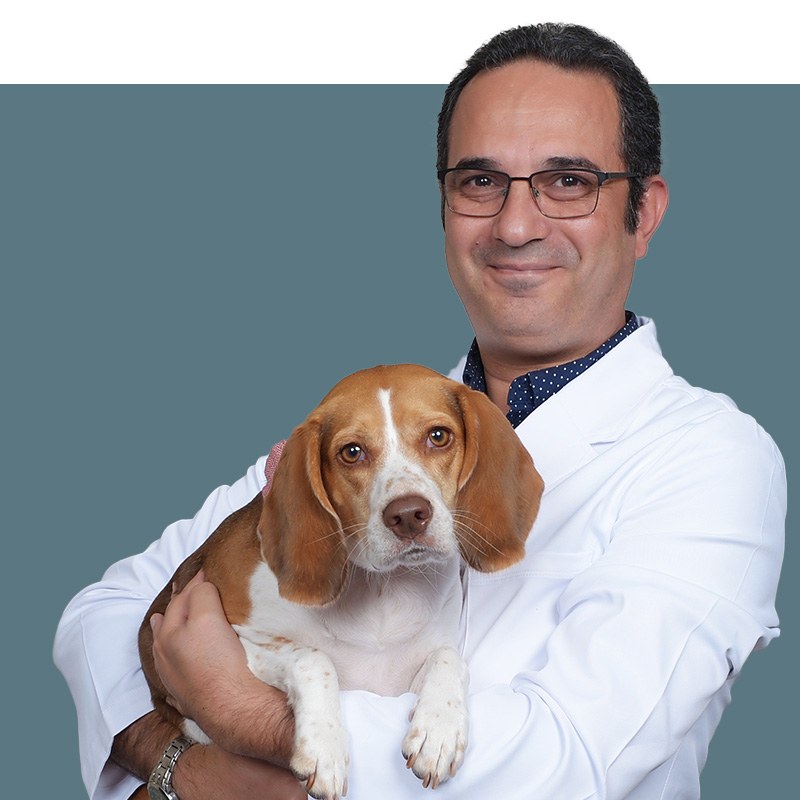 Location Doctor Image