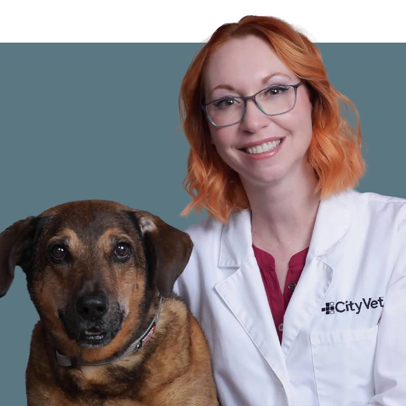 Location Doctor Image