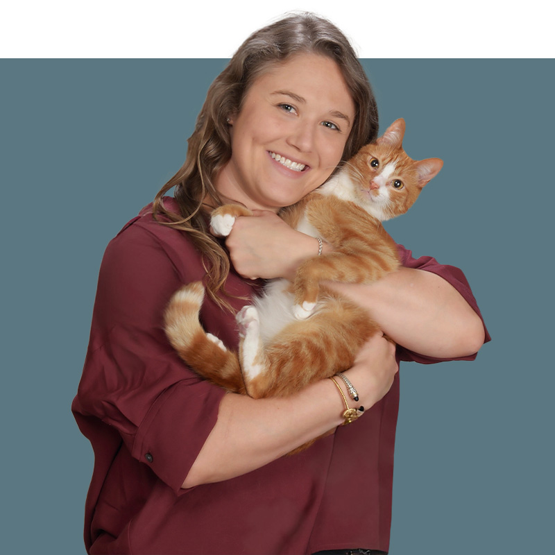 Location Doctor Image