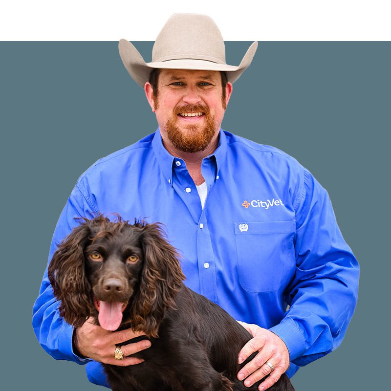 Location Doctor Image