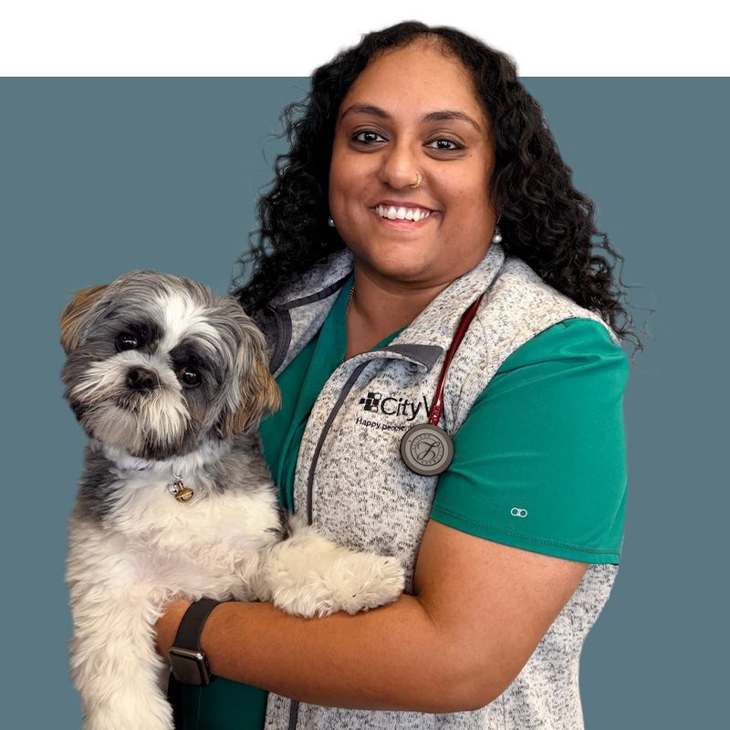 Location Doctor Image