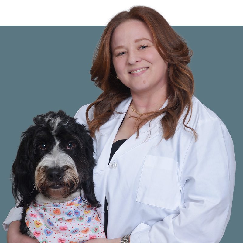 Location Doctor Image