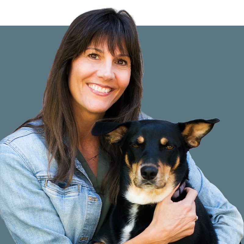 Location Doctor Image