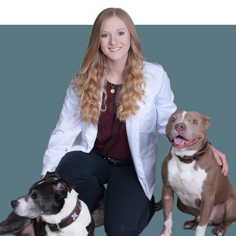 Location Doctor Image