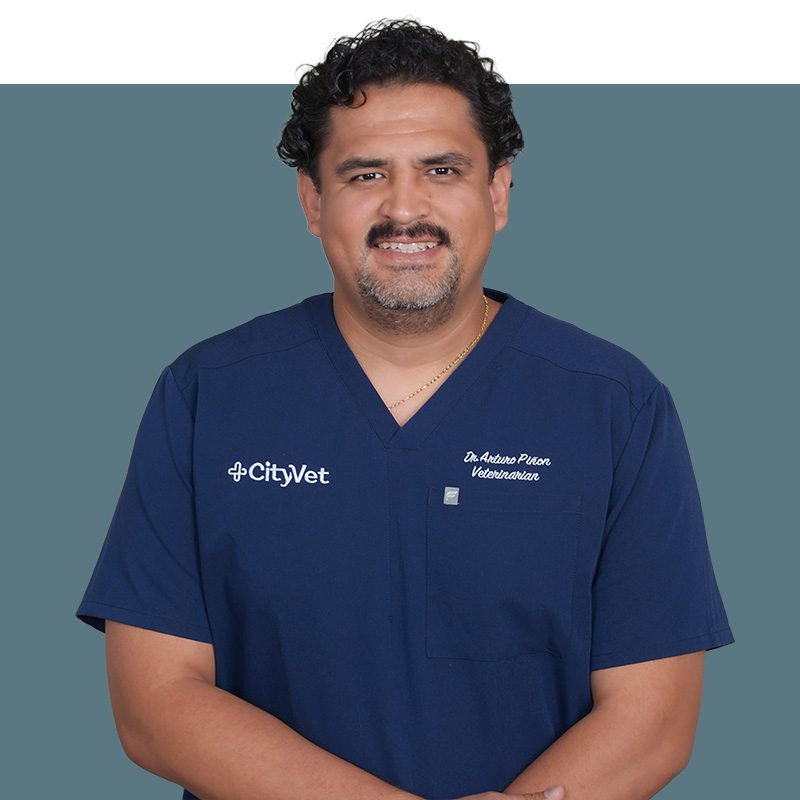 Location Doctor Image