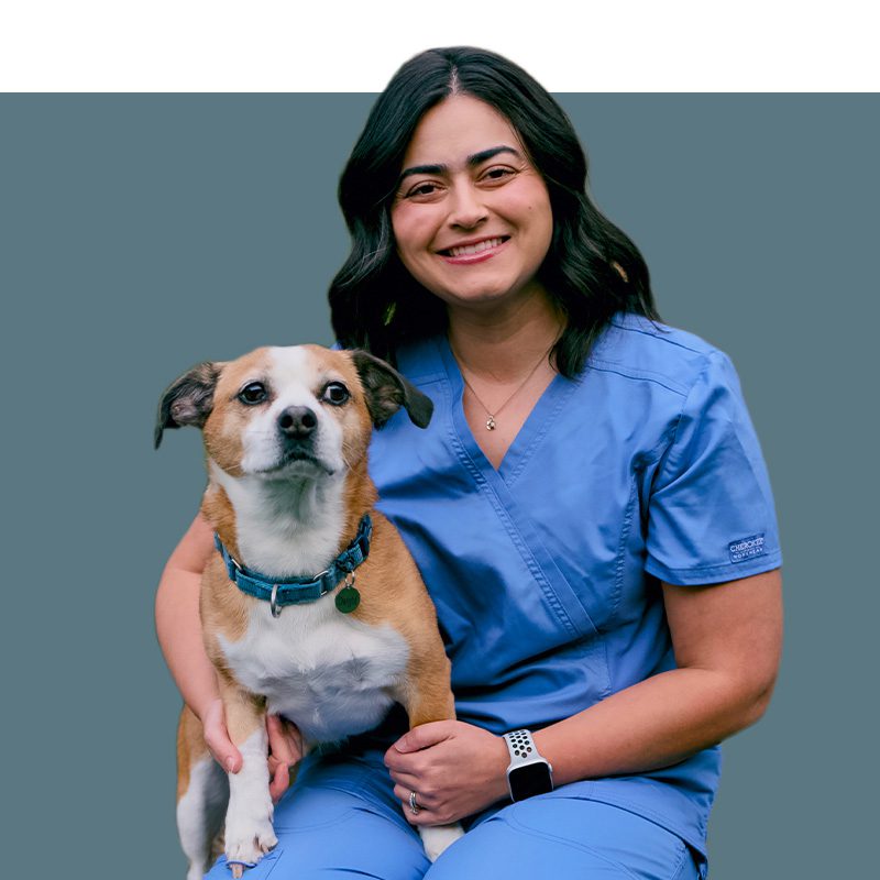 Location Doctor Image