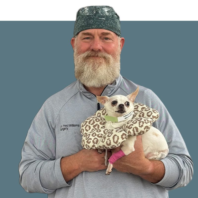 Location Doctor Image