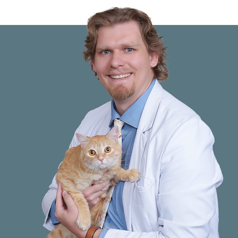 Location Doctor Image
