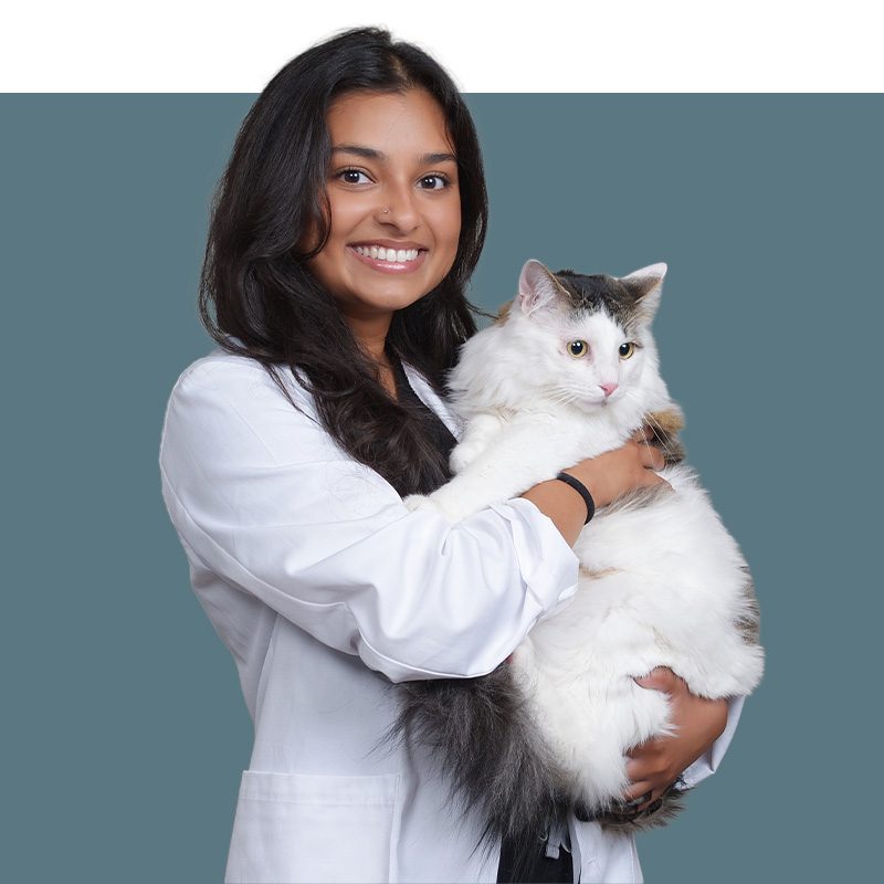 Location Doctor Image