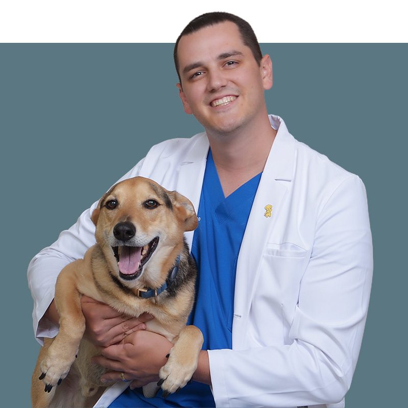 Location Doctor Image