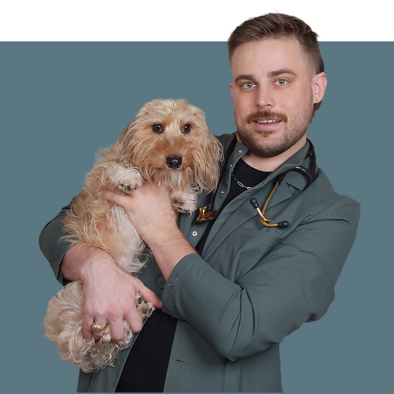 Location Doctor Image