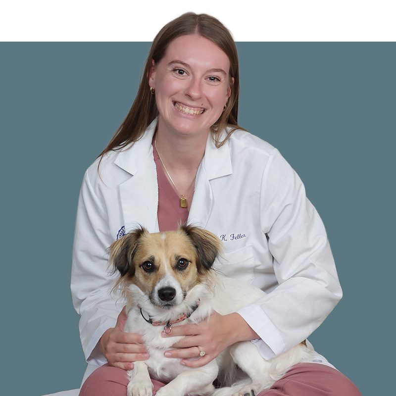 Location Doctor Image